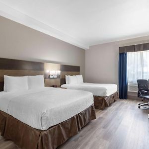 Queen Suite Disability Access